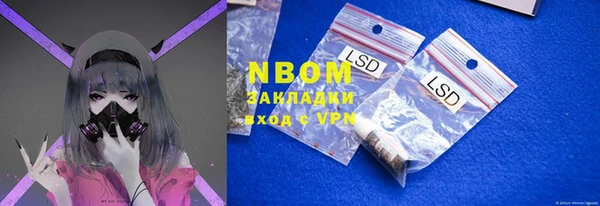 ГАЛЛЮЦИНОГЕННЫЕ ГРИБЫ Вязники