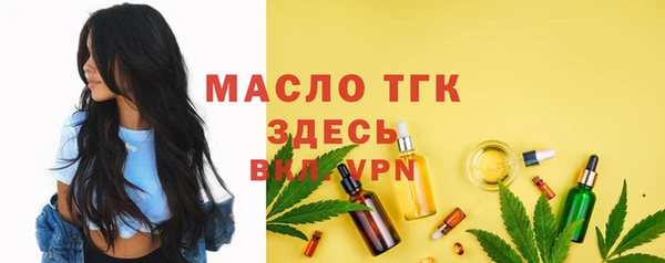 соль ск Вяземский