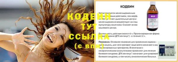 ГАЛЛЮЦИНОГЕННЫЕ ГРИБЫ Вязники