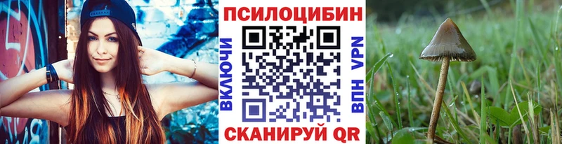 это состав  Зубцов  Псилоцибиновые грибы мухоморы  купить наркотики сайты 